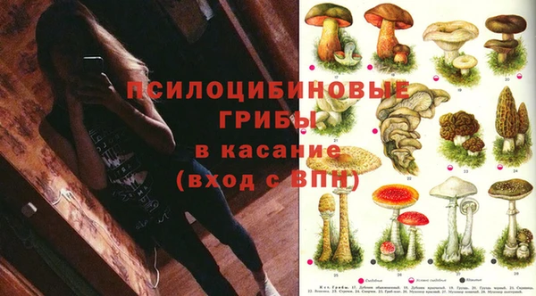 каннабис Богородицк