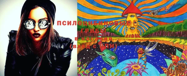 PSILOCYBIN Вуктыл
