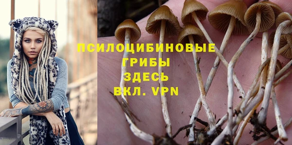 каннабис Богородицк