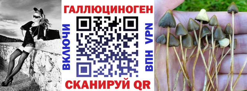 Галлюциногенные грибы GOLDEN TEACHER  где продают   Надым 